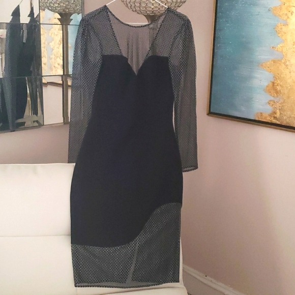 BCBG Maxazaria mesh dress size 4-6 - Picture 9 of 10